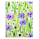 Search for perennials Flowers