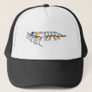 Search for krill Shrimp