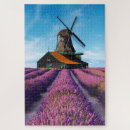 Search for lavender field puzzles Flowers