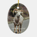 Search for wildlife christmas tree decorations Outdoors