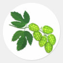 Search for beer hops stickers Homebrew