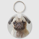 Search for puppy face key rings Pug