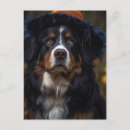 Search for mountain dog postcards Pretty