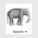 Search for asian elephant stickers Animals