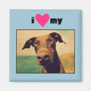 Search for my dog magnets Pet