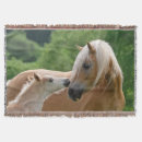 Search for childrens horse blankets For her