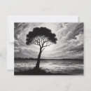 Search for testament postcards Landscape