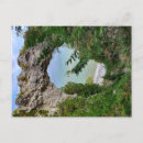 Search for mackinac island postcards Nature