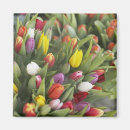 Search for bunch magnets Outdoors