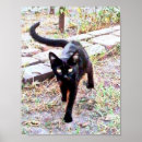 Search for kittie posters Kitty cat