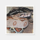 Search for boa constrictor Pet