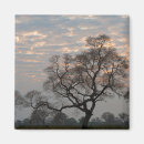 Search for danita delimont magnets Judith zimmerman