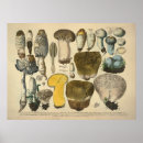 Search for varieties Vintage