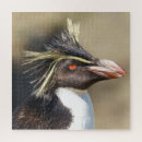 Search for black beauty puzzles Feathers