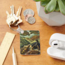 Search for turtles tortoise key rings Tortoises