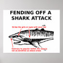 Search for shark attack posters Funny