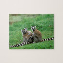 Search for madagascar puzzles Africa