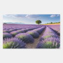 Search for lavender fields stickers Nature