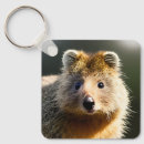 Search for wallabies key rings Kangaroo