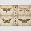 Search for decoupage butterfly tissue paper Bugs