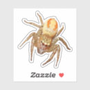 Search for arachnids stickers Cute