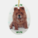 Search for jolly christmas tree decorations Pet