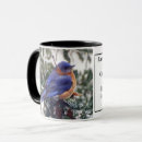 Search for eastern bluebird mugs Birder
