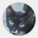 Search for cat magnets Whimsical