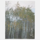 Search for birch trees blankets Nature