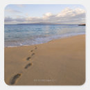 Search for usa vacation stickers Sea