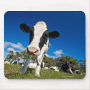 Search for looking at camera electronics Agriculture