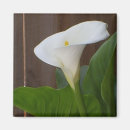 Search for cali magnets Flower