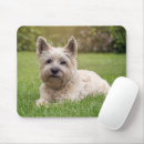 Search for cairn mousepads Pet