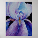 Search for purple iris art posters Botanical
