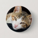 Search for tortoiseshell badges Tortie
