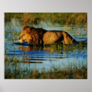 Search for okavango posters Horizontal