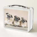 Search for pug lunch boxes Puppy