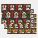 Search for lab wrapping paper Animal