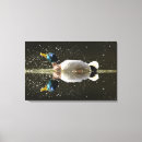 Search for anas art Mallard duck