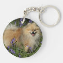 Search for pomeranian dog key rings Flowers