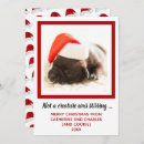 Search for puppy 1st christmas cards Puppy's first christmas