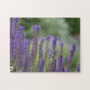 Search for nature photography puzzles Summer