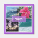 Search for oahu magnets Hibiscus