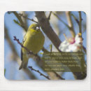Search for a 6 mousepads Nature