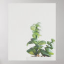 Search for plant posters Simple