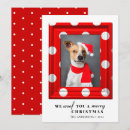 Search for dog christmas cards Script