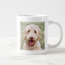 Search for goldendoodle mugs Mix breed