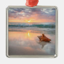 Search for shell the christmas tree decorations Sand