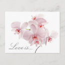 Search for tender postcards Floral