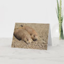 Search for prairie dog cards Wild